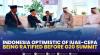 Indonesia Optimistic Of IUAE-CEPA Being Ratified Before G20 Summit. (Sumber : IDXChannel)