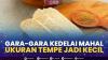 Gara-Gara Kedelai Mahal, Ukuran Tempe Jadi Kecil. (Sumber : IDXChannel)