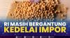 RI Masih Bergantung Kedelai Impor. (Sumber : IDXChannel)