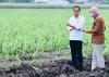 Jokowi Siapkan 700 Ribu Hektare Lahan Tebu untuk Capai Swasembada Gula. (Foto: Biro Pers Setpres)
