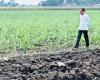 Jokowi Tunjuk Airlangga Jadi Tim Khusus Urusi Tata Ruang hingga Kawasan Hutan. (Foto: MNC Media)