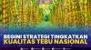 Begini Strategi Tingkatkan Kualitas Tebu Nasional. (Sumber : IDXChannel)