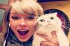5 Hewan Peliharaan Terkaya di Dunia, Kucing Taylor Swift Salah Satunya. (Foto: MNC Media)
