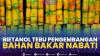Bietanol Tebu Pengembangan Bahan Bakar Nabati. (Sumber : IDXChannel)