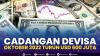 Cadangan Devisa Oktober 2022 Turun USD 600 Juta. (Sumber : IDXChannel)
