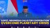 COP27, Indonesia Calls For Cooperation To Overcome Planetary Crisis ,(Sumber: IDX CHANNEL)