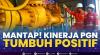 Mantap! Kinerja PGN Tumbuh Positif. (Sumber : IDXChannel)