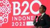 Dalam B20 Summit, Anindya Tegaskan Ambisi Indonesia jadi Electro-State (foto: MNC Media)