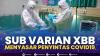 Sub Varian XBB Menyasar Penyintas Covid19. (Sumber : IDXChannel)