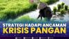 Strategi Hadapi Ancaman Krisis Pangan,(Sumber: IDX CHANNEL)