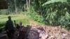 Update Gempa Cianjur: Korban Meninggal Bertambah Jadi 56 Orang (Foto: Ist)