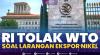 RI Tolak WTO Soal Larangan Ekspor Nikel. (Sumber : IDXChannel)