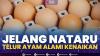 Jelang Nataru, Telur Ayam Alami Kenaikan,(Sumber: IDX CHANNEL)