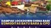 Dampak Lockdown China Bagi Komoditas Batu Bara & CPO. (Sumber : IDXChannel)