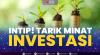 Intip! Tarik Minat Investasi.(Sumber : IDXChannel)