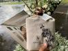 Sempat Dirahasiakan, Ini Penampakan Souvenir Pernikahan Kaesang-Erina. (Foto: Desi Angriani/IDXChannel)