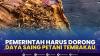 Pemerintah Harus Dorong Daya Saing Petani Tembakau. (Sumber : IDXChannel)