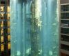 Akuarium Silinder Terbesar di Dunia Pecah, 1.500 Ikan Mati Bergelimpangan. (Foto: FABRIZIO BENSCH/REUTERS).