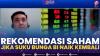 Rekomendasi Saham Jika Suku Bunga BI Naik Kembali. (Sumber : IDXChannel)