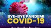 Bye-bye Pandemi Covid-19. (Sumber : IDXChannel)