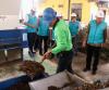 PT PLN (Persero) bersama Pemerintah Kota Medan meresmikan pabrik pengelolaan sampah menjadi Bahan Bakar Jumputan Padat