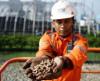 Ganti Batu Bara ke Biomassa, PLN Hasilkan 575,4 GWh Listrik Bersih.