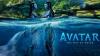 Film Avatar: The Way of Water berhasil menghasilkan USD 134,1 juta atau sekitar Rp2 triliun di bioskop Amerika Serikat