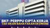 BKF: Perppu Cipta Kerja tak akan Bahayakan Ekonomi,(Sumber: IDX CHANNEL)