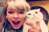 Bikin Melongo, Kekayaan Kucing Taylor Swift Capai Rp1,5 Triliun (FOTO:MNC Media)