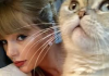 Intip Profil Kucing Terkaya Ketiga Taylor Swift, Berharta Rp1,5 Triliun. (FOTO : MNC MEDIA)