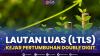 Lautan Luas (LTLS) Kejar Pertumbuhan Double Digit. (Sumber : IDXChanne)