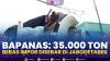 Bapanas: 35.000 Ton Beras Impor Disebar di Jabodetabek,(Sumber: IDX CHANNEL)