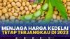 Menjaga Harga Kedelai Tetap Terjangkau di 2023. (Sumber : IDXChannel)
