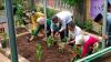Segarkan Udara Jakarta, Pj Gubernur Mau Giatkan Tanam Pohon. (Foto: M Refi Sandi/MPI)