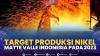 Target Produksi Nikel Matte Valle Indonesia Pada 2023 (Sumber : IDXChannel)