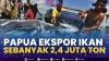 Papua Ekspor Ikan ke Jepang dan Hong kong,(Sumber: IDX CHANNEL)