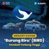 Menanti Saham ‘Burung Biru’ (BIRD) Kembali Terbang Tinggi