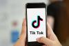 Cara Download Video TikTok Melalui SSSTikTok Tanpa Watermark Gratis, Sudah Tahu? (Foto: MNC Media)