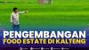 Pengembangan Food Estate di Kalteng. (Sumber : IDXChannel)