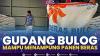 Gudang Bulog Mampu Menampung Panen Beras,(Sumber: IDX CHANNEL)