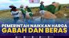 Pemerintah Naikkan Harga Gabah dan Beras,(Sumber: IDX CHANNEL)