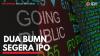 Dua BUMN Segera IPO,(Sumber: IDX CHANNEL)