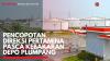 Pencopotan Direksi Pertamina Pasca Kebakaran Depo Plumpang,(Sumber: IDX CHANNEL)
