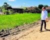 Jokowi Sebut SK Perhutanan Sosial Beri Kepastian Masyarakat Garap Lahan Produktif. (Biro Pers Setpres)