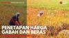Penetapan Harga Gabah dan Beras