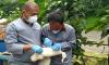 Kasus Flu Burung Merebak, Unggas Luar Daerah Kota Cimahi Wajib Dilengkapi SKKH. (Foto: Adi Haryanto/MNC Media)