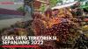 Laba SRTG Terkoreksi Sepanjang 2022. (Sumber : IDXChannel)