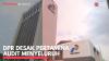 DPR Desak Pertamina Audit Menyeluruh,(Sumber: IDX CHANNEL)