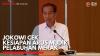 Jokowi Cek Kesiapan Arus Mudik Pelabuhan Merak,(Sumber: IDX CHANNEL)