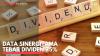 Data Sinergitama Tebar Dividen 75%. (Sumber : IDXChannel)